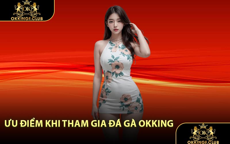 Ưu Điểm Khi Tham Gia Đá Gà OKKING