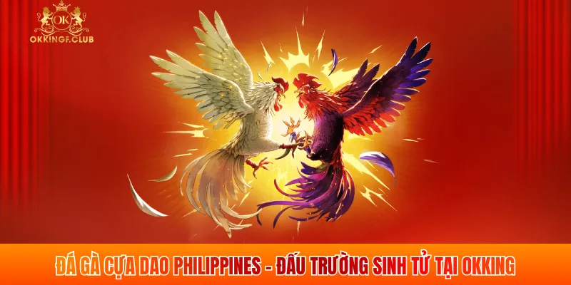 Đá Gà Cựa Dao Philippines - Đấu Trường Sinh Tử Tại OKKING